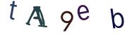 Image CAPTCHA