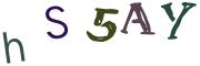 Image CAPTCHA