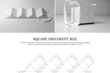 Structural Packaging Design