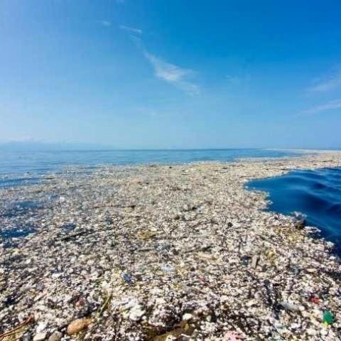 Pacific Garbage Patch