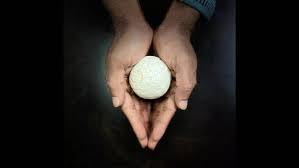 IIT-M develops biodegradable packaging from agricultural waste