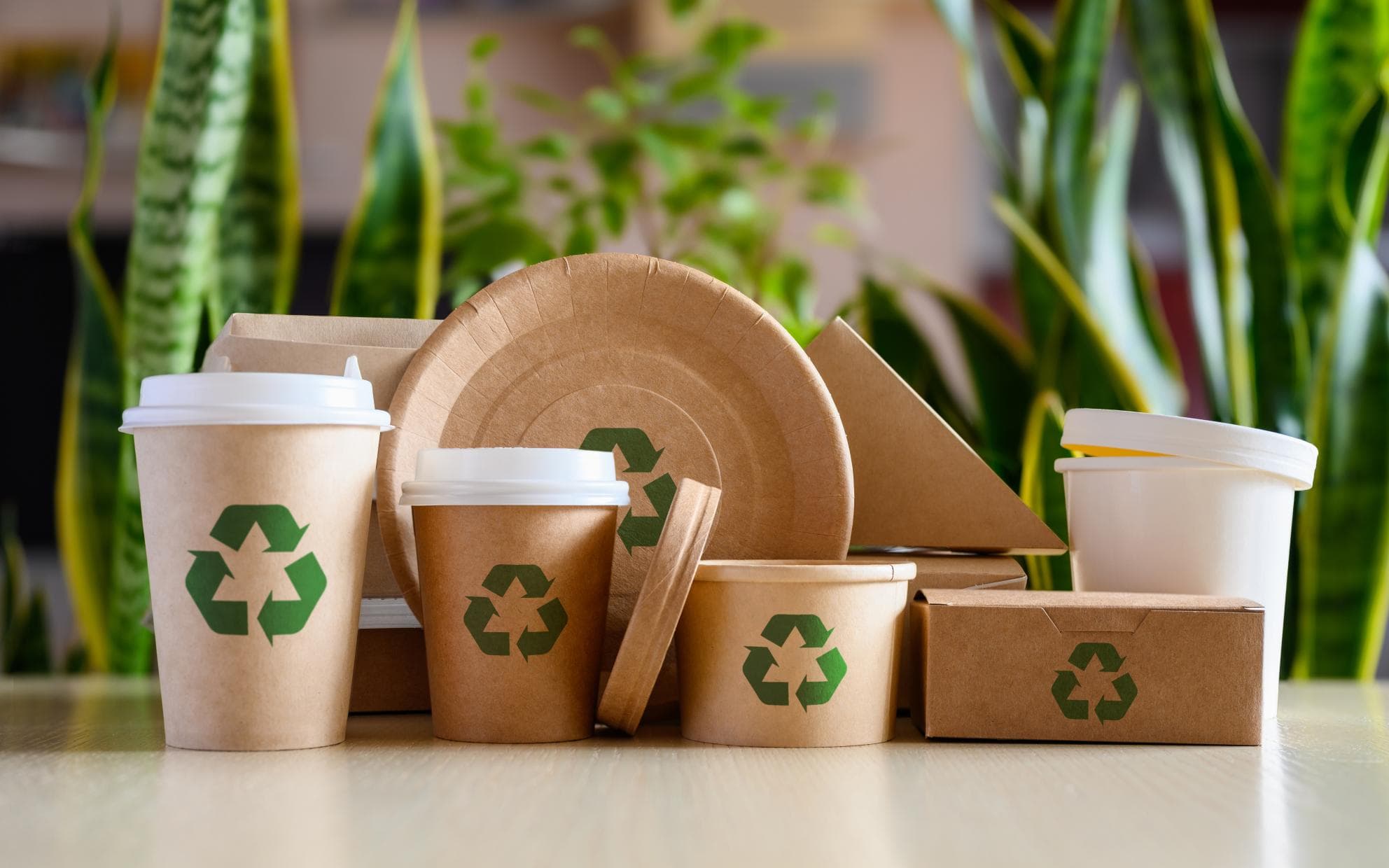 EU's New Packaging Rules Begin Applying: PPWR Sets New Direction for Packaging Industry