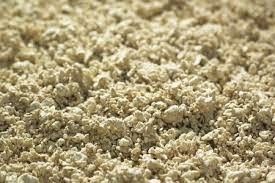 Mechanical vs Chemical Pulping Mechanical vs Chemical Pulping
