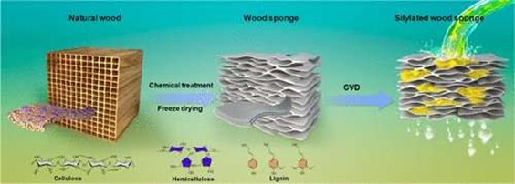 Wood sponge