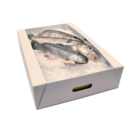 Fish Boxes - boxes specifically for the transportation of fresh or frozen  fish.