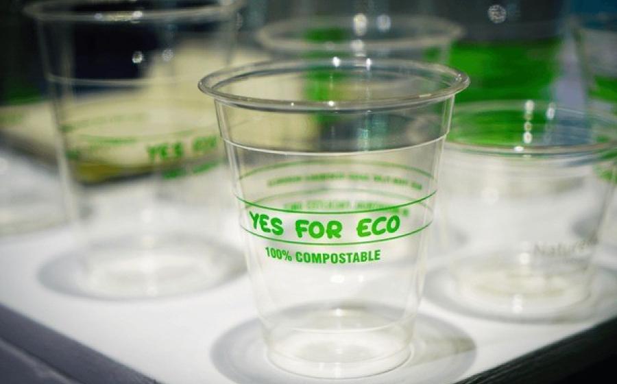 BASED ALTERNATIVES OF MOST USED PLASTICS BASED ALTERNATIVES OF MOST USED PLASTICS