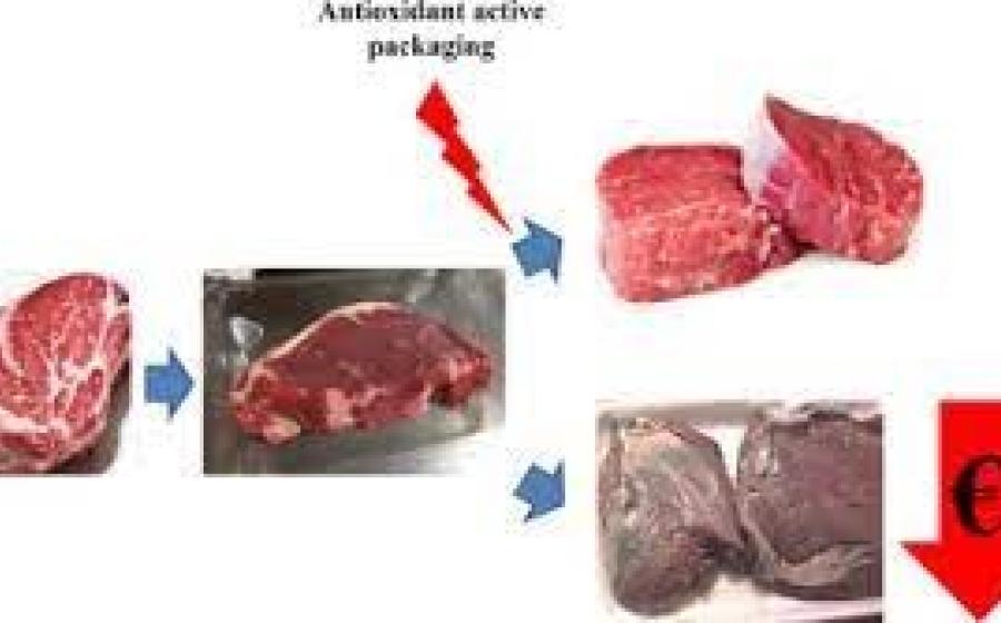 ACTIVE PACKAGING AND LONGER SHELF LIFE ACTIVE PACKAGING AND LONGER SHELF LIFE