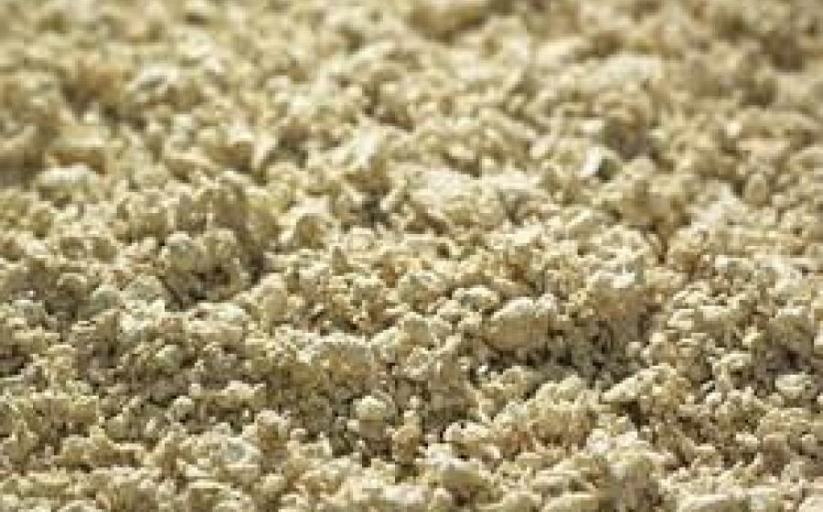 Mechanical vs Chemical Pulping Mechanical vs Chemical Pulping