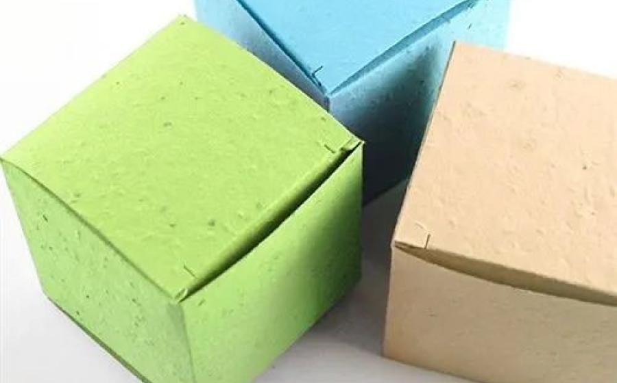 Seed Paper Packaging