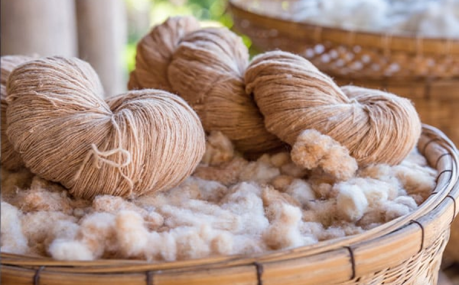 The Role of Natural Fibers in Modern Packaging The Role of Natural Fibers in Modern Packaging