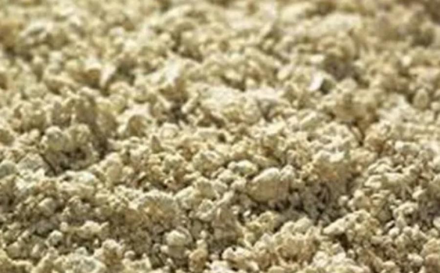 Mechanical vs Chemical Pulping Mechanical vs Chemical Pulping