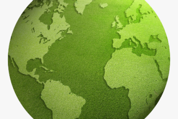 CARBON CREDIT IN INDIA