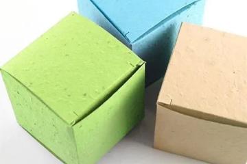 Seed Paper Packaging