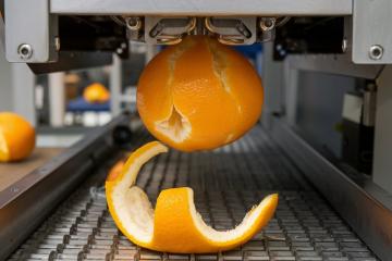 Orange Peel For Packaging 