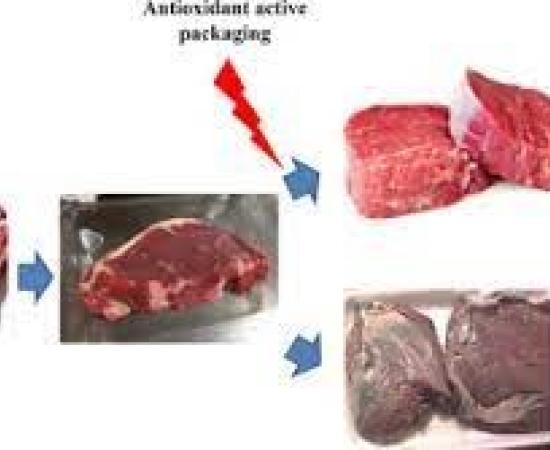 ACTIVE PACKAGING AND LONGER SHELF LIFE