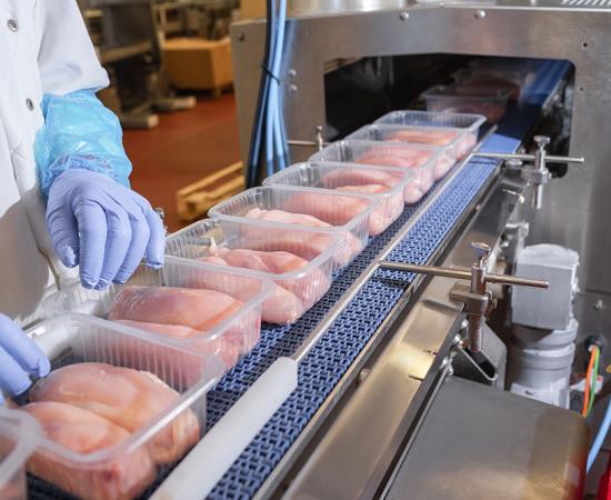 Food Packaging Materials  