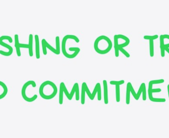 Sustainability just only buzzword or Genuine commitment