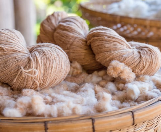 The Role of Natural Fibers in Modern Packaging