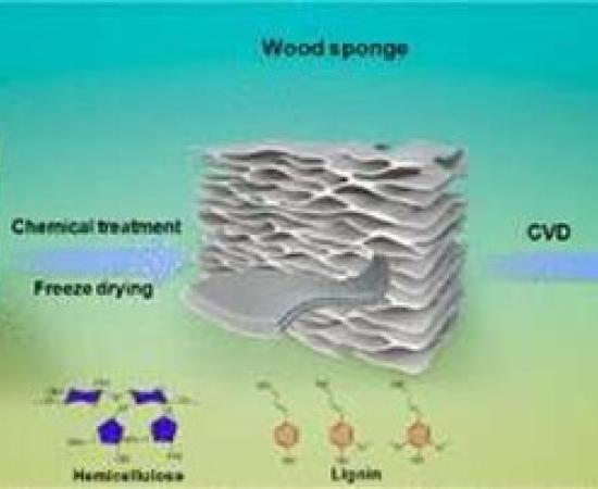 Wood sponge