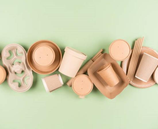 Lucky Bamboo to Save the World: A Sustainable Alternative to Plastic