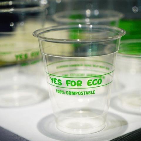 BASED ALTERNATIVES OF MOST USED PLASTICS