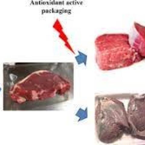 ACTIVE PACKAGING AND LONGER SHELF LIFE