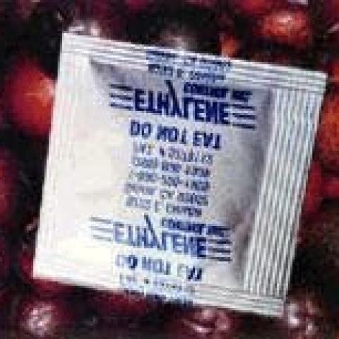 ACTIVE PACKAGING AND LONGER SHELF LIFE