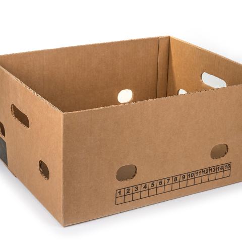 Box