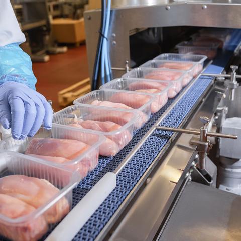 Food Packaging Materials  