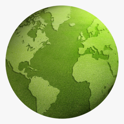 CARBON CREDIT IN INDIA