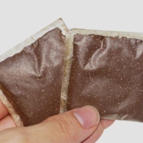 edible seaweed