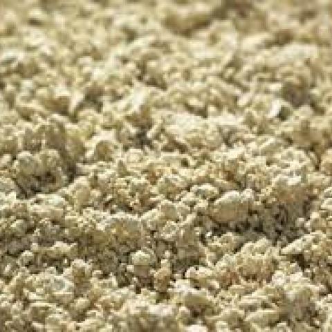 Mechanical vs Chemical Pulping