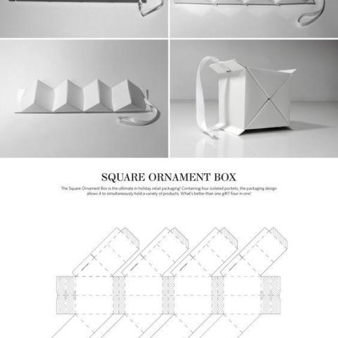 Structural Packaging Design