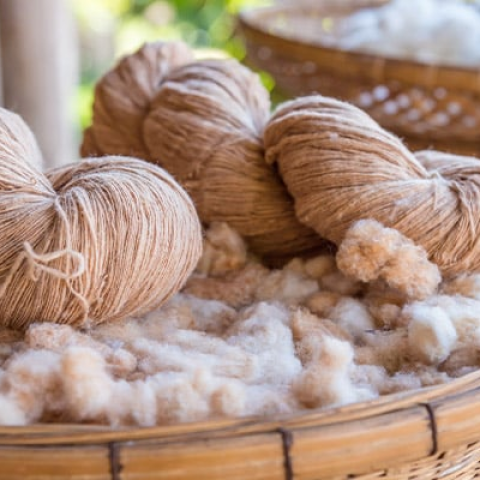 The Role of Natural Fibers in Modern Packaging
