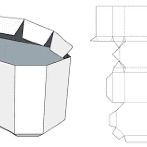 The Art and Science: Packaging Design 