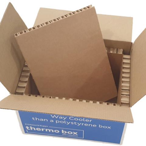 EPS alternative for insulated packaging - ThermoBox