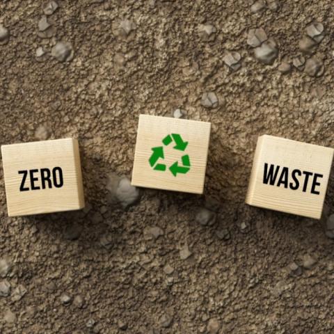 Sustainable Packaging