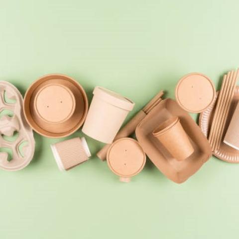 Lucky Bamboo to Save the World: A Sustainable Alternative to Plastic