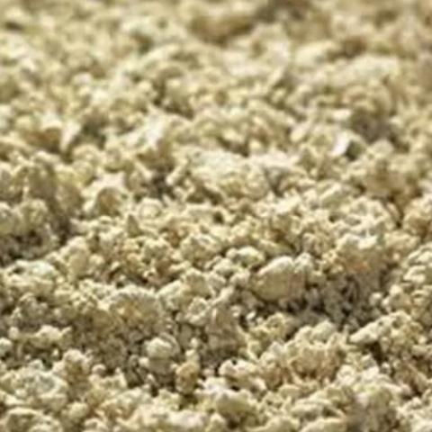 Mechanical vs Chemical Pulping