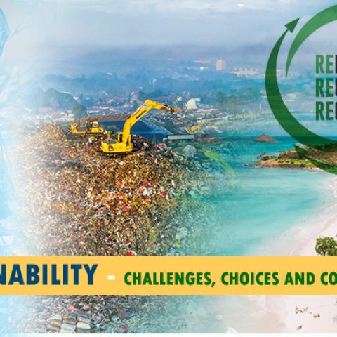Sustainability - Challenges, Choices and Consequences