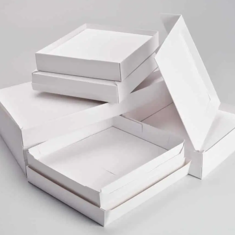 Solid Bleached Sulphate (SBS) vs. Folding Box Board (FBB): Choosing the Right Packaging Material