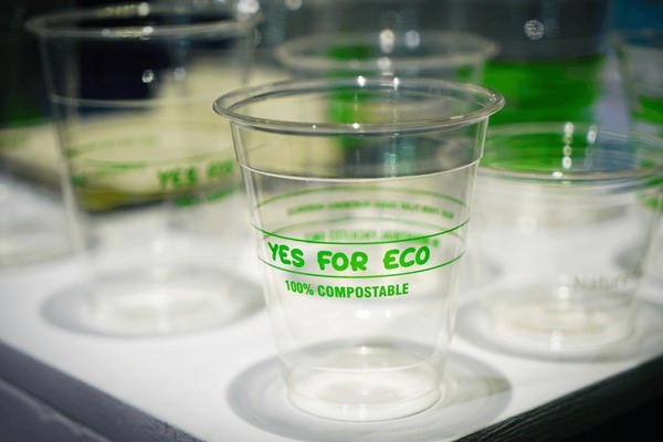 BASED ALTERNATIVES OF MOST USED PLASTICS BASED ALTERNATIVES OF MOST USED PLASTICS