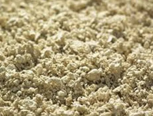Mechanical vs Chemical Pulping Mechanical vs Chemical Pulping